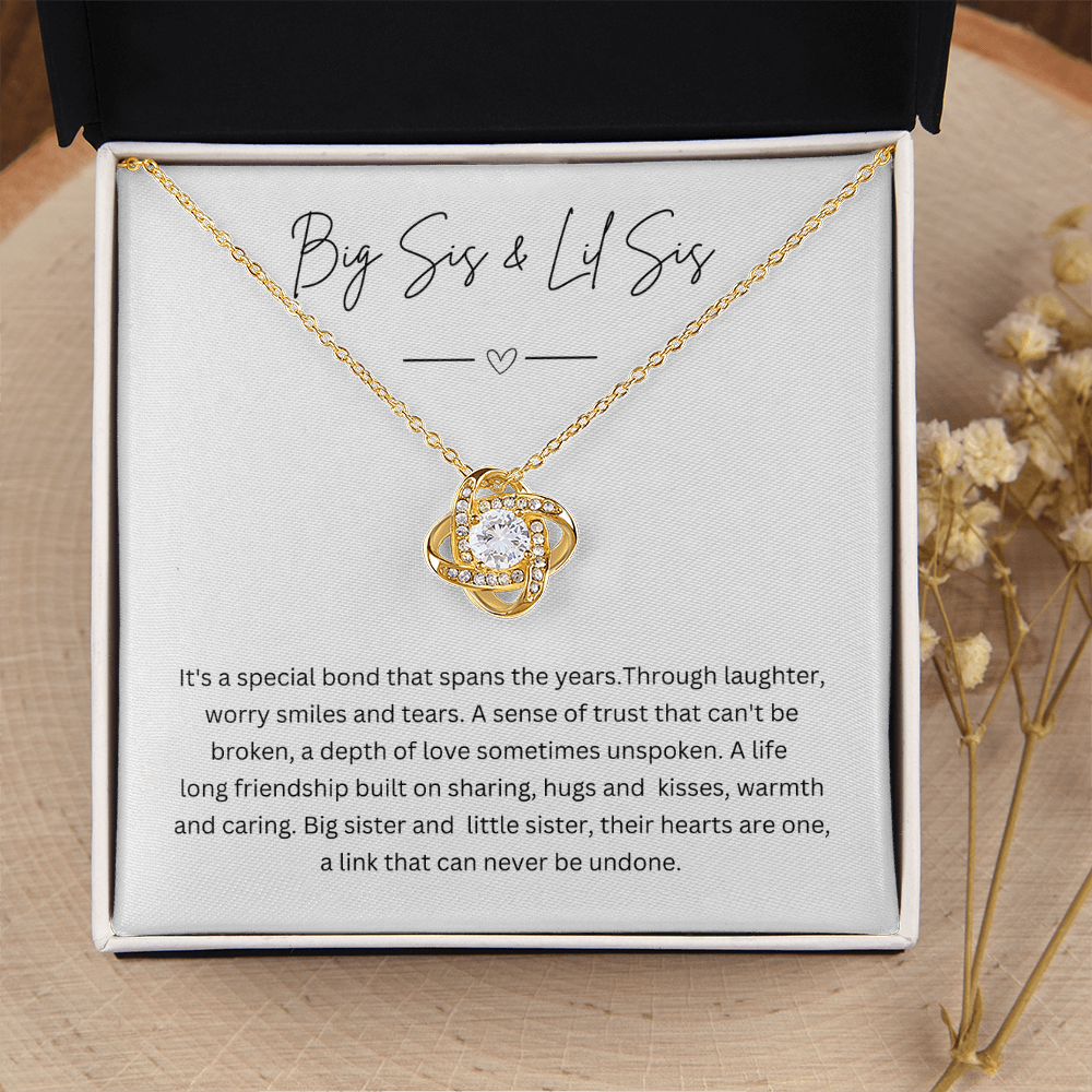 Big Sis & Lil Sis - Silver Necklace Gift Jewellery For Sisters With Personalised Message Card